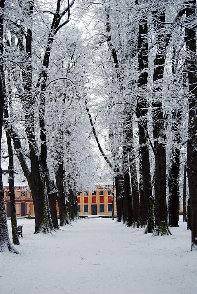 2011-01-24, Schnee (8).JPG